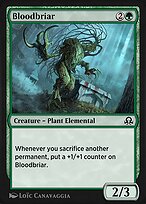 Bloodbriar (SIR-186) - common