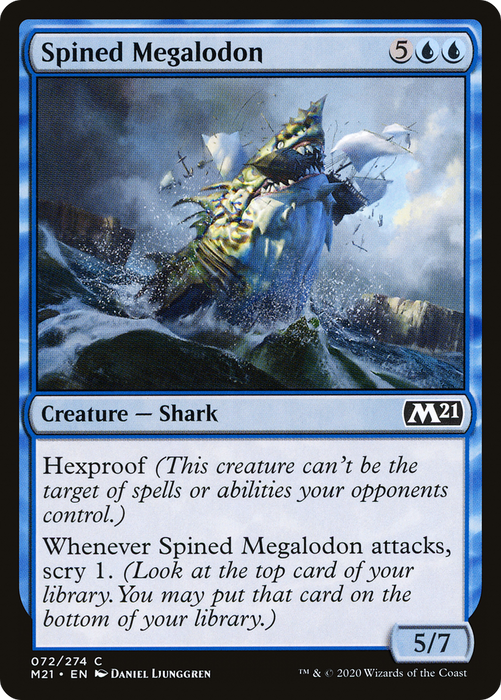 Spined Megalodon (M21-072) - common