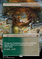 Overgrown Farmland (PRM-94098) - rare