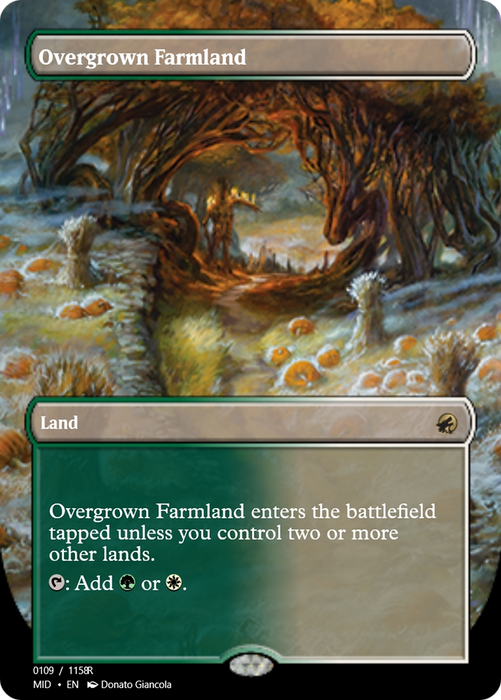 Overgrown Farmland (PRM-94098) - rare