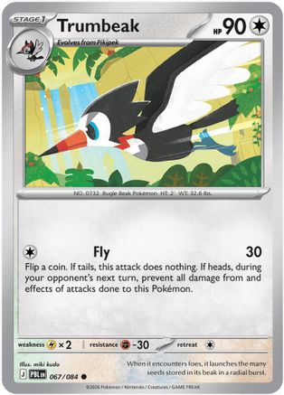 Trumbeak (067) - MPB  - Common