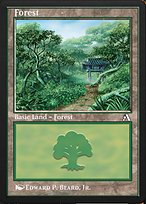 Forest (ANA-033) - common