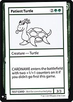Patient Turtle (CMB1-082) - rare