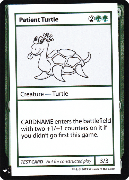 Patient Turtle (CMB1-082) - rare