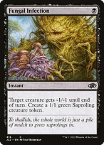 Fungal Infection (J22-416) - common