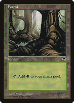Forest (TMP-348) - common