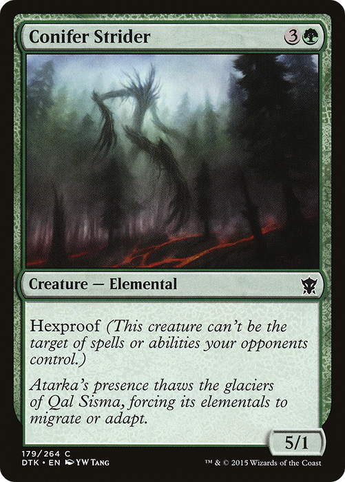 Conifer Strider (DTK-179) - common