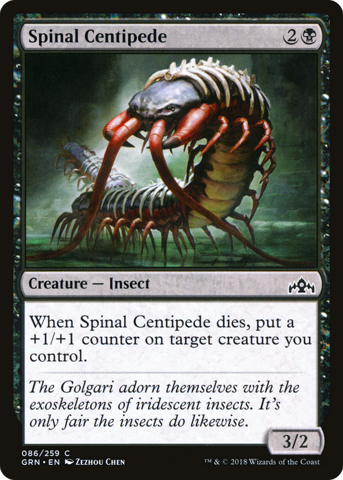 Spinal Centipede (GRN-086) - common - Foil