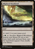 Blighted Woodland (BFZ-233) - uncommon - Foil