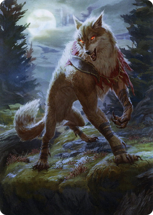 Arlinn, the Moon's Fury // Arlinn, the Moon's Fury (AMID-002) - common (Borderless) - Foil