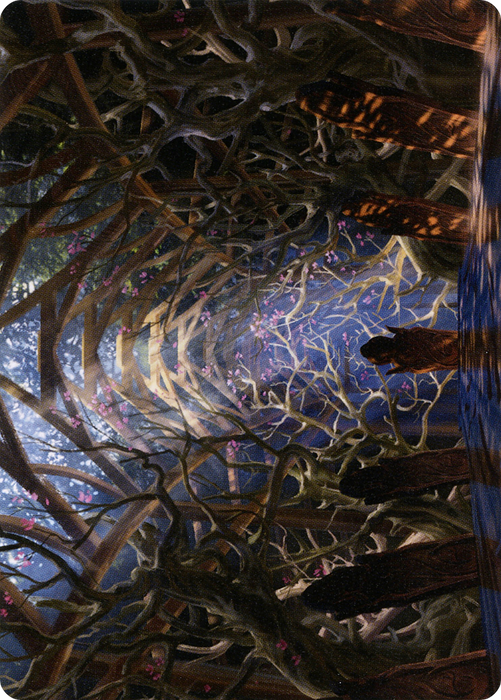 Skemfar Elderhall // Skemfar Elderhall (AKHM-073) - common (Borderless) - Foil