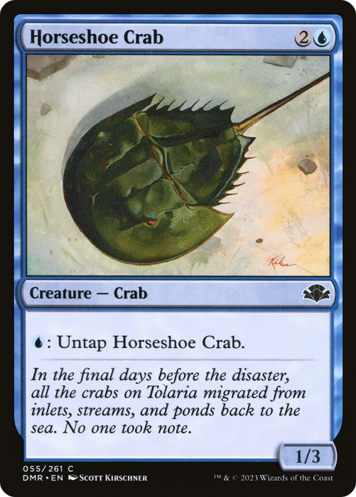 Horseshoe Crab (DMR-055) - common