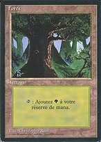Forest (FBB-306) - common