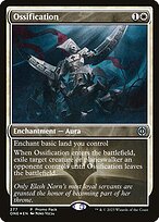 Ossification (PPONE-277) - uncommon
