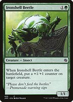 Ironshell Beetle (JMP-405) - common