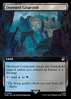 Drowned Catacomb (WHO-492) - rare: (Extended Art)