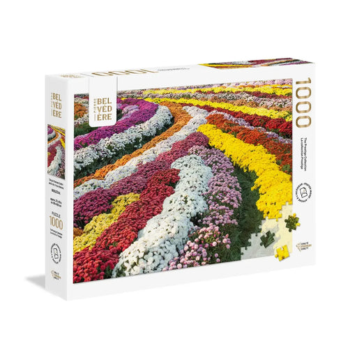 Jardin de Chrysanthèmes (1000 pièces)