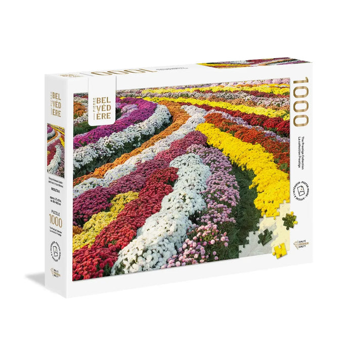 Jardin de Chrysanthèmes (1000 pièces)