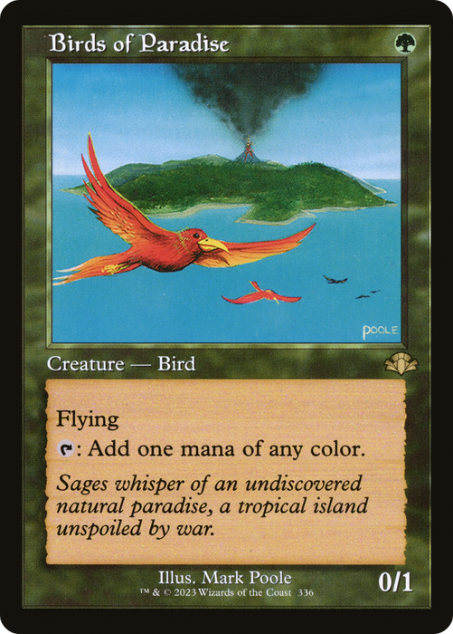 Birds of Paradise (DMR-336) - rare