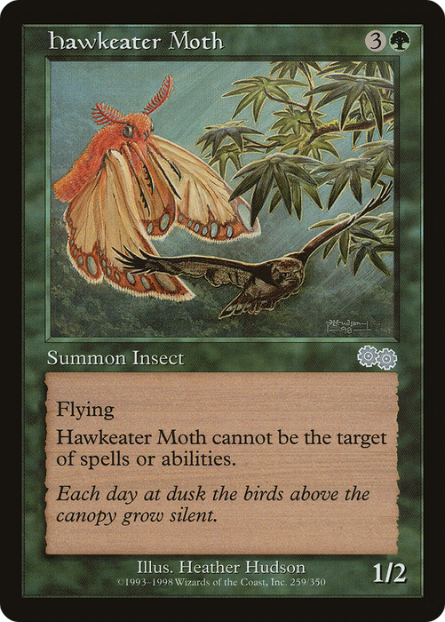 Hawkeater Moth (USG-259) - uncommon