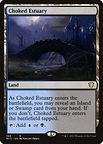Choked Estuary (MIC-169) - rare