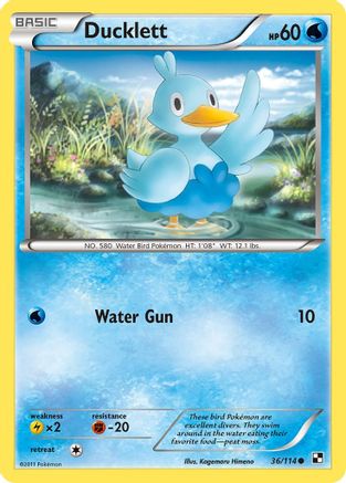 Ducklett (036) - BAW  - Common - Reverse Holofoil