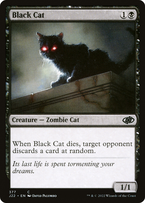 Black Cat (J22-377) - common