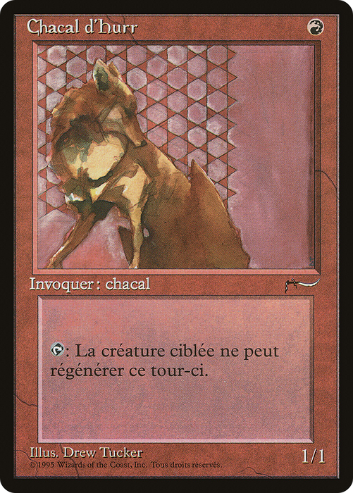 Hurr Jackal (REN-088) - common