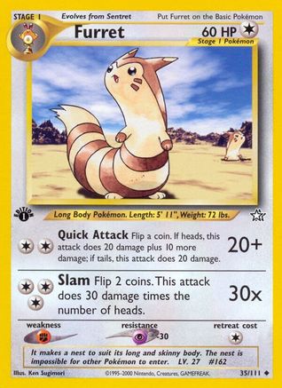 Furret (035/111) - NG  - Uncommon - 1st Edition