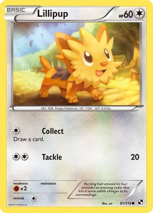 Lillipup (81) (081) - BAW  - Common - Reverse Holofoil