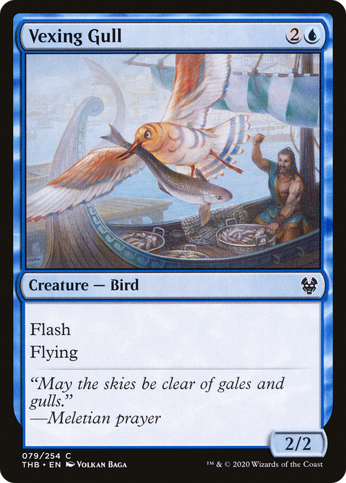 Vexing Gull (THB-079) - common