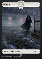Plains (PANA-262) - rare: (Full Art)