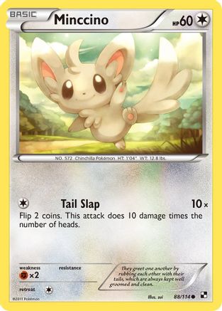 Minccino (088/114) - BAW  - Common - Reverse Holofoil