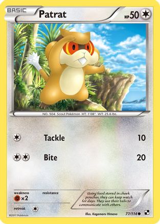 Patrat (77) (077) - BAW  - Common - Reverse Holofoil