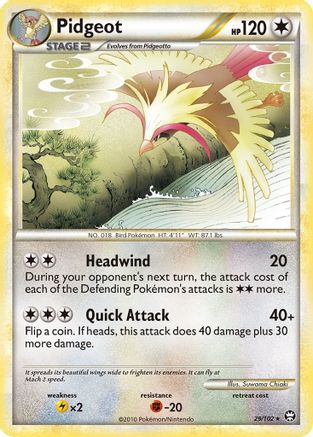 Pidgeot (029) - T  - Rare