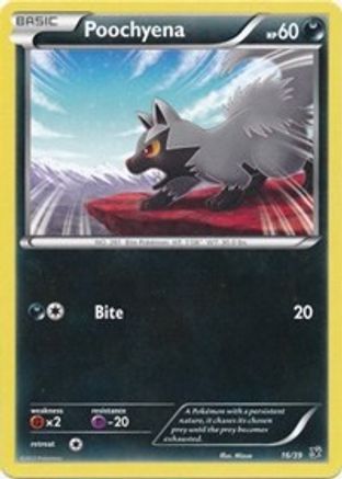 Poochyena (016) - KSS  - Common