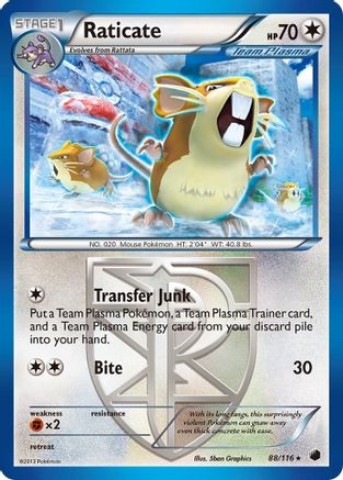 Raticate (Team Plasma) (088/116) - PF  - Rare