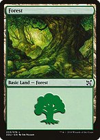 Forest (DDU-033) - common