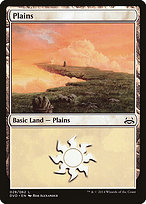 Plains (DD3-028) - common