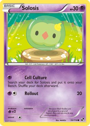 Solosis (055) - BAW  - Common