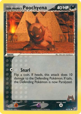Team Magma's Poochyena (065/95) - TMVTA  - Common - Reverse Holofoil