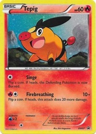 Tepig (BW07) - BAWP  - Promo - Holofoil