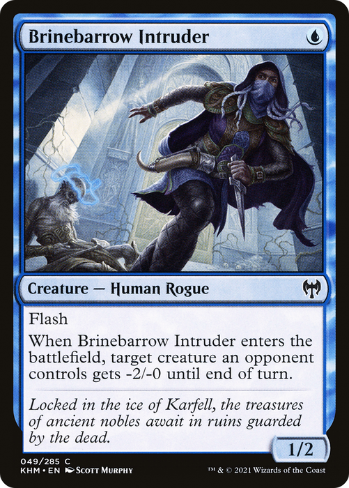 Brinebarrow Intruder (KHM-049) - common