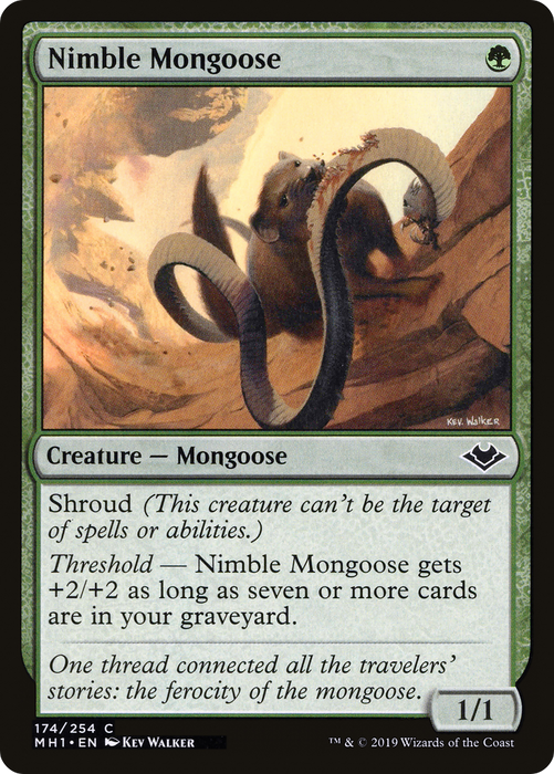 Nimble Mongoose (MH1-174) - common