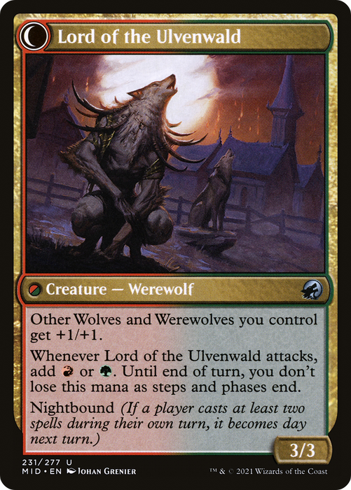 Kessig Naturalist // Lord of the Ulvenwald (MID-231) - uncommon: (Double Faced Transform) - Foil