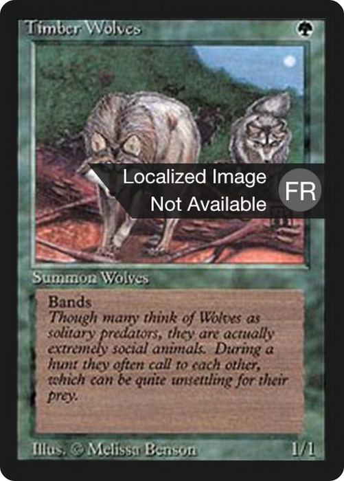 Timber Wolves (FBB-219) - rare