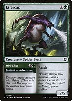 Ettercap // Web Shot (CLB-231) - common
