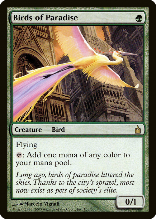Birds of Paradise (RAV-153) - rare