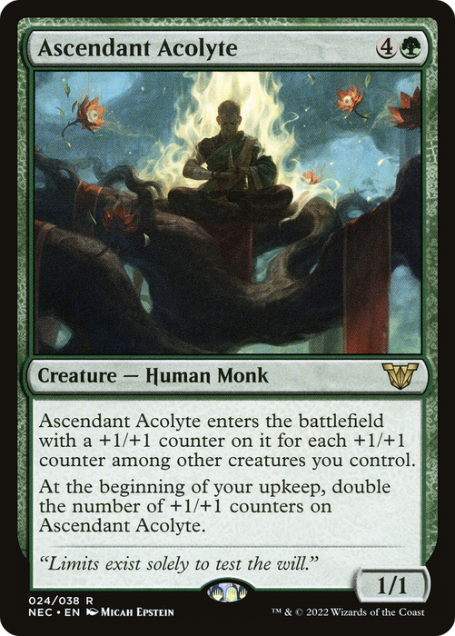 Ascendant Acolyte (NEC-024) - rare