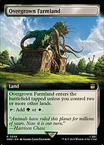Overgrown Farmland (WHO-506) - rare: (Extended Art) - Foil